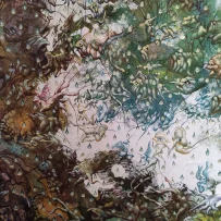 F 3« Deep Memory Algorithm » « Algorithme profond de la mémoire » 160-120 cm1